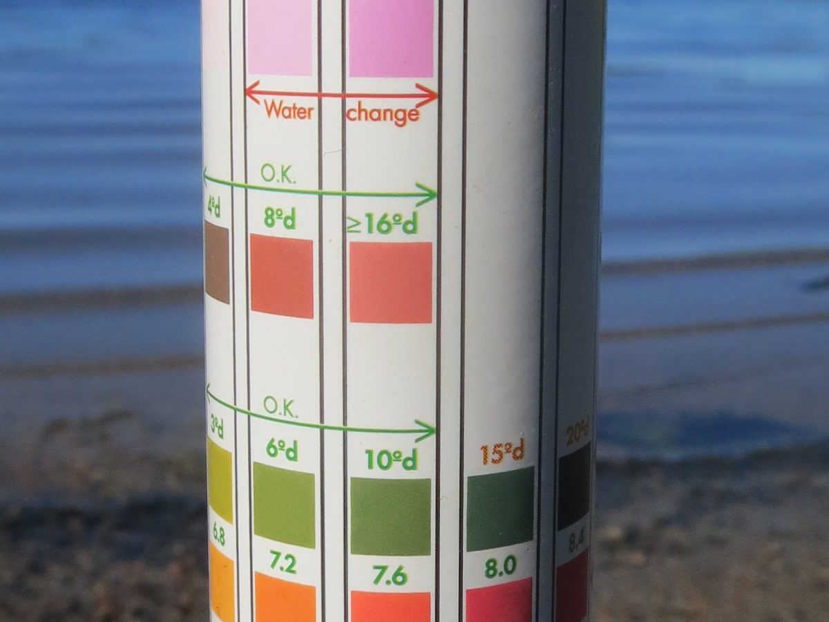Wasserhärte messen — was °dH bedeutet und warum dein Gerät sie kennen muss